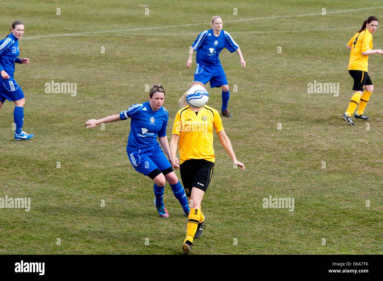Women`s football at club level, ball hiding player`s face Stock Photo